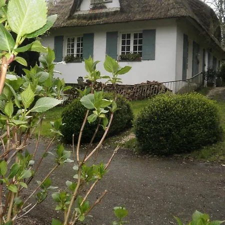 Bed & Breakfast Le Clos Des Muriers Hautot-sur-Mer
