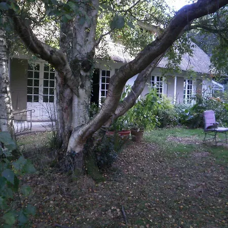 Le Clos Des Mûriers Hautot-sur-Mer